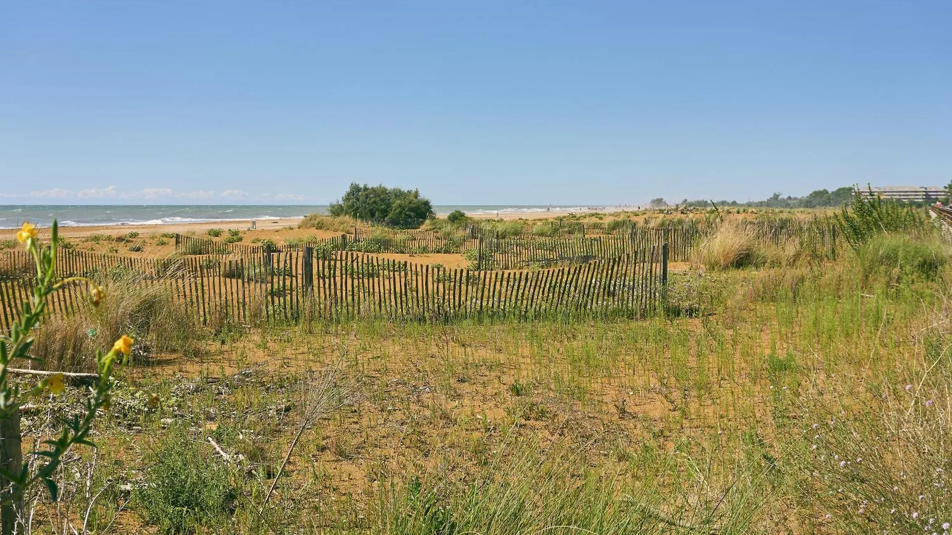 Comfortable Flat With Terrace 100M From The Beach Bibione 0*,